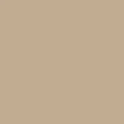 Light Pumpkin Brown Velvet