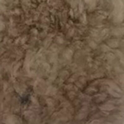 Golden Fawn Sheepskin #6