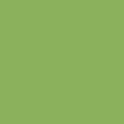 Green Matt Solid Colour