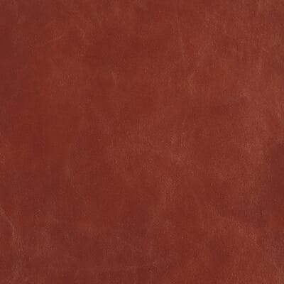 Dark Tan Waxy Leather A B