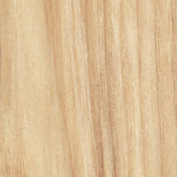 American Ash