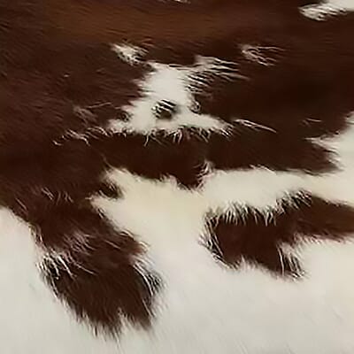 Brown And White Pony Hide