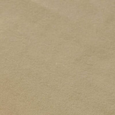 Ecru Champagne Velvet