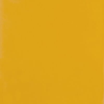 European Beech Painted Orange