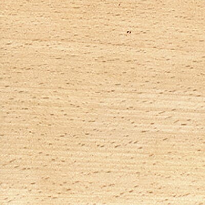 European Beech In White Oil