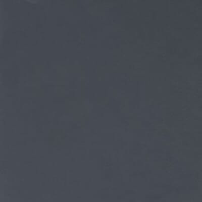 European Beech Painted Black