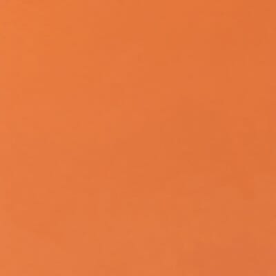 European Beech Painted Dark Orange