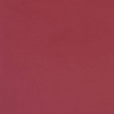 European Beech Painted Dark Red
