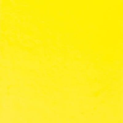 European Beech Painted Yellow