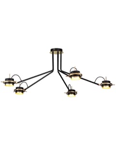 5 Head Ceiling Lamp