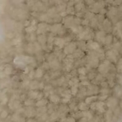 Honey Oak Sheepskin #5