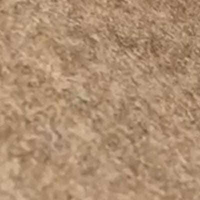 Light Brown Wool