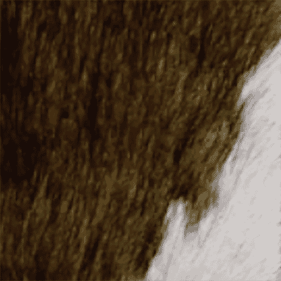 Brown Black and White Pony Hide