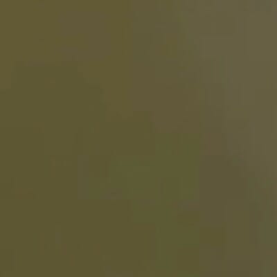 Sage Green Leather H