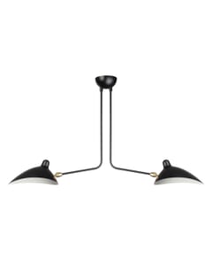 2 Arm Ceiling Lamp