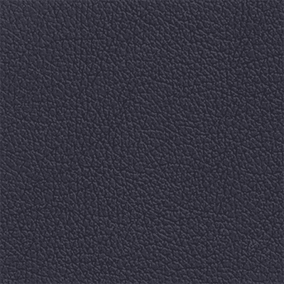 Black Leather SML SL