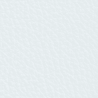 White Leather SML SL