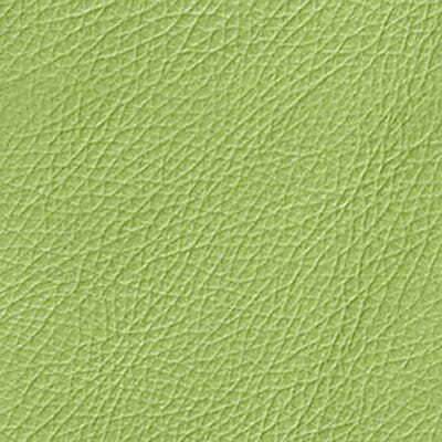 Lime Green Leather SML SL