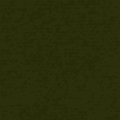 Dark Green Wool T SL