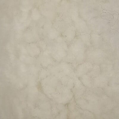 White Sheepskin #2